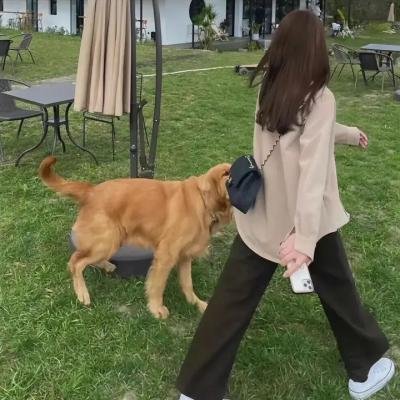 尸控扩散